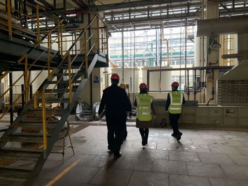 與安全同行，讓安全常駐 寶曼咨詢協(xié)助華友鈷業(yè)開展現(xiàn)場EHS管理現(xiàn)狀調(diào)研