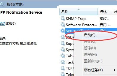 Windows 軟件保護服務詳解及其與網頁、網站設計的潛在關聯
